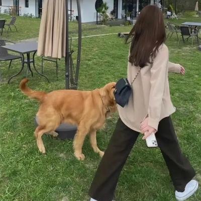 机器人艺妓